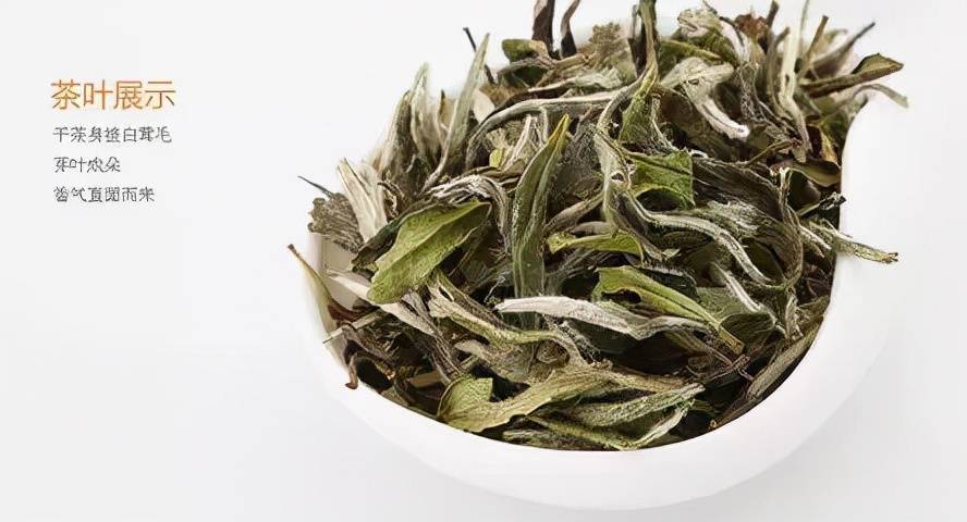 汕头有品质的白茶茶叶