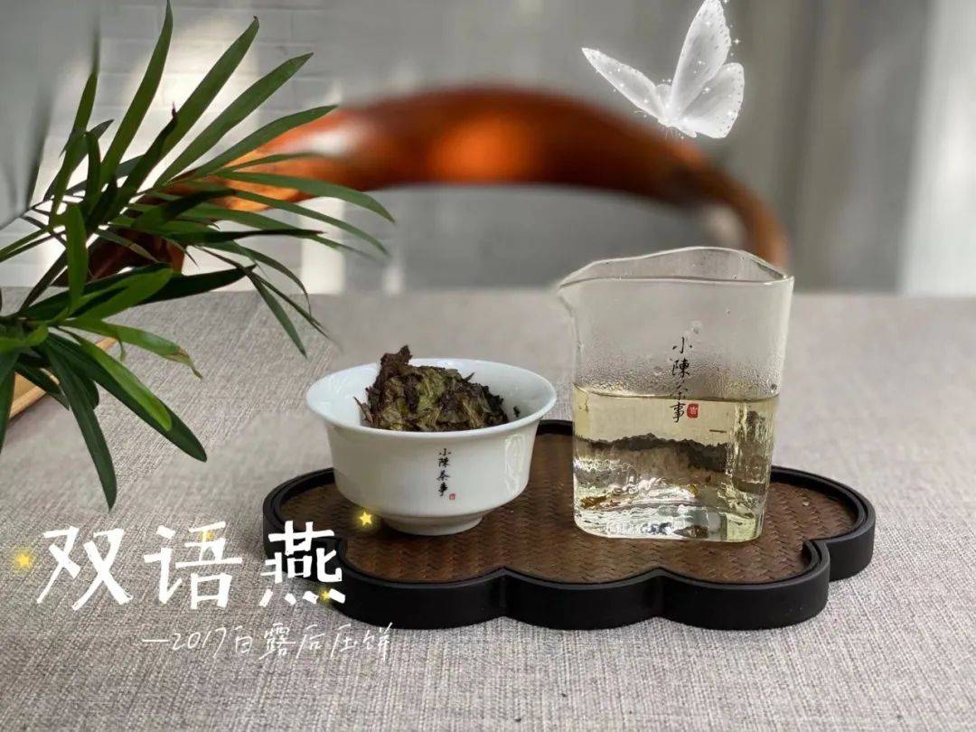 白茶和绿茶哪个更适合收藏呢