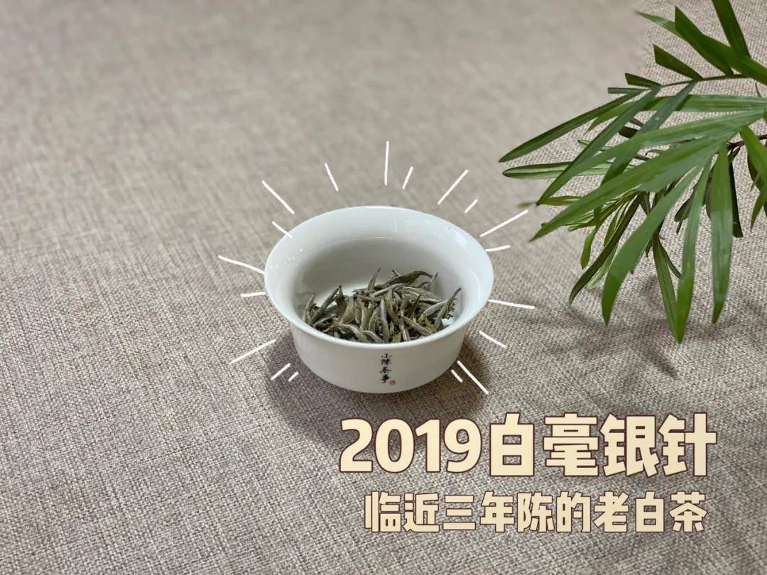 白茶和绿茶哪个更适合收藏呢