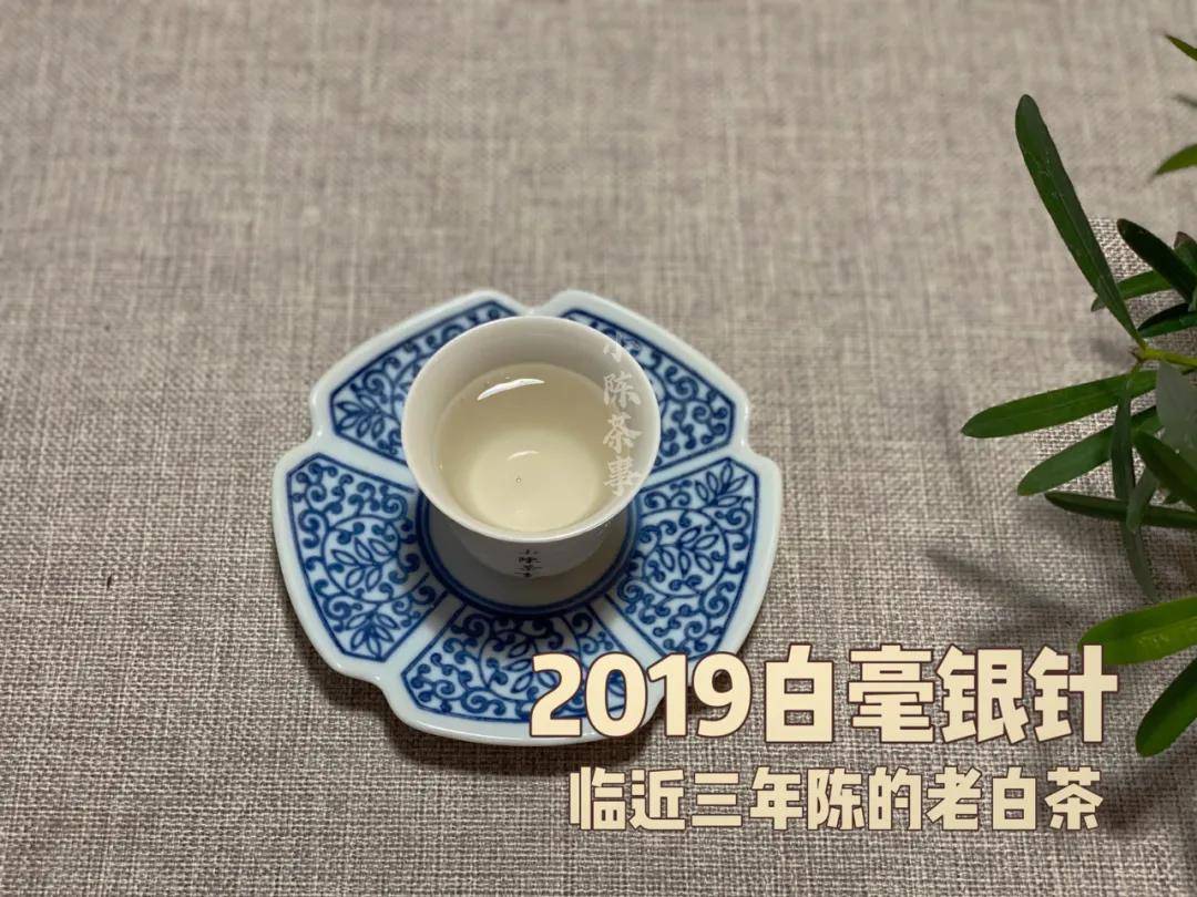 白茶和绿茶哪个更适合收藏