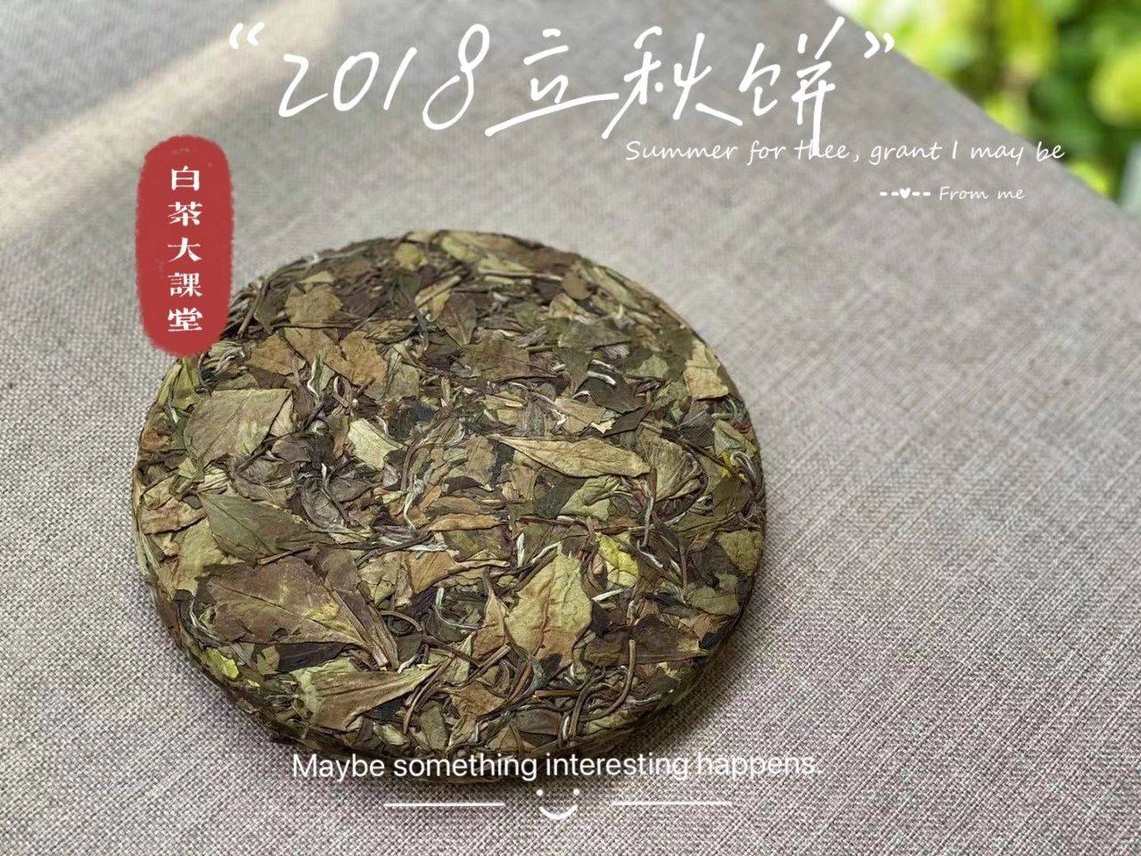 白茶饼上的白色是什么原因：探索白茶饼制作过程中白色的形成原因