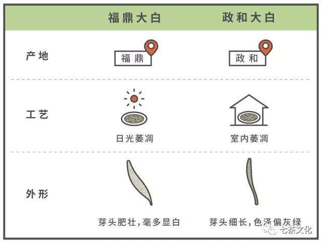 畲族白茶制作工艺流程