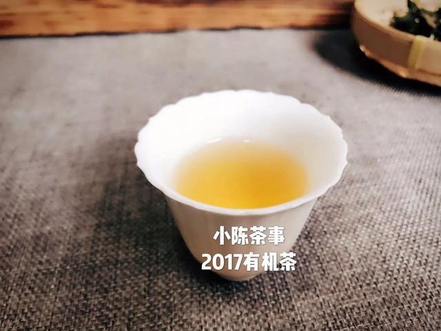 白茶一年收益多少