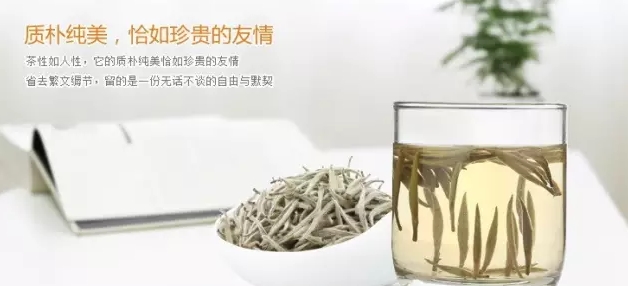 白茶可以喝药吗女性有毒？