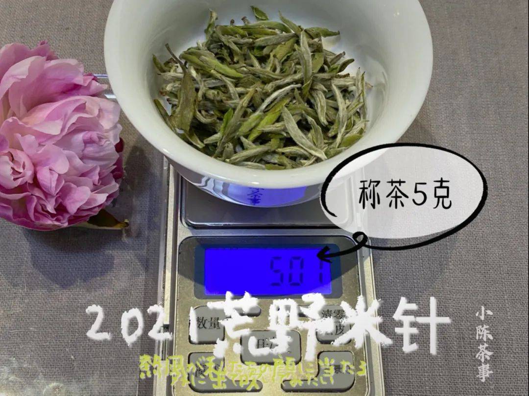 白茶能配抗生素吗