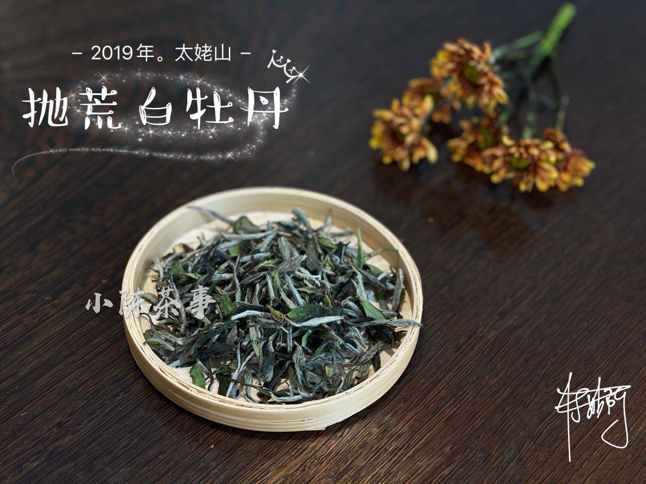 安吉白茶冲几泡为好