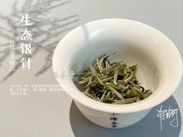 白茶里加什么对身体好