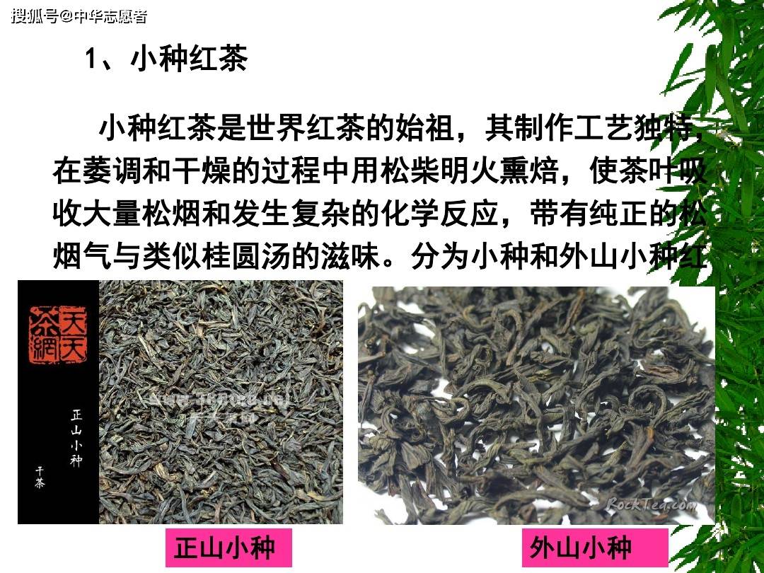 安吉白茶的手工制作工艺流程及工序