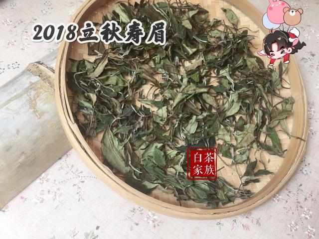 老白茶冲泡口感变化的原因及味道