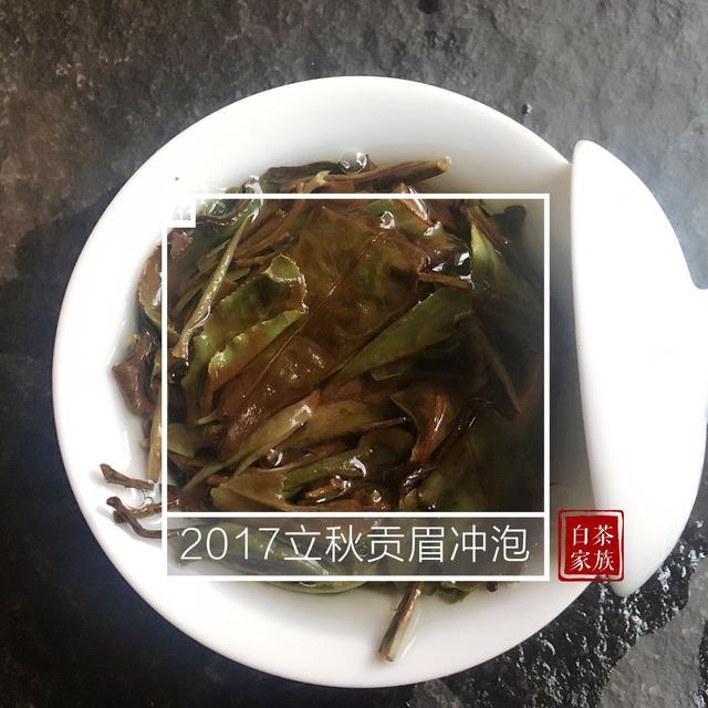 白茶可以用水煮吗，为什么和怎么煮？