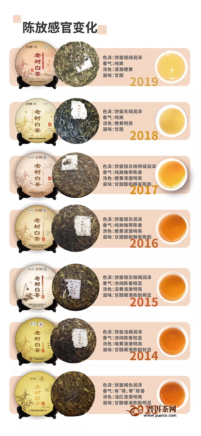 2021年中茶老树白茶