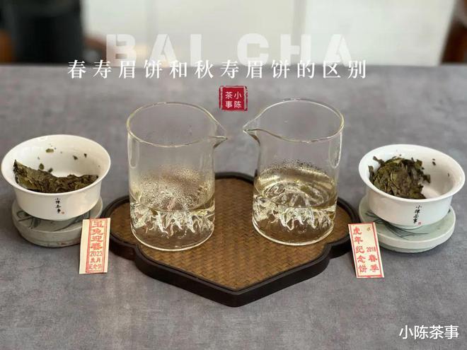 嘉兴哪里能买到白茶叶和茶叶