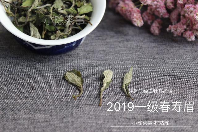 嘉兴哪里能买到白茶叶和茶叶