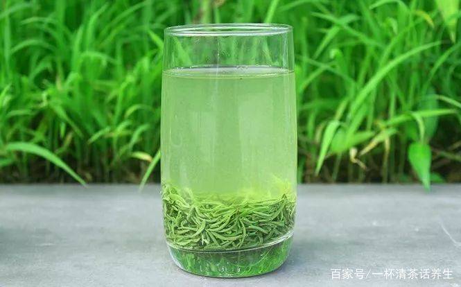 白茶普洱红茶黑茶绿茶功效