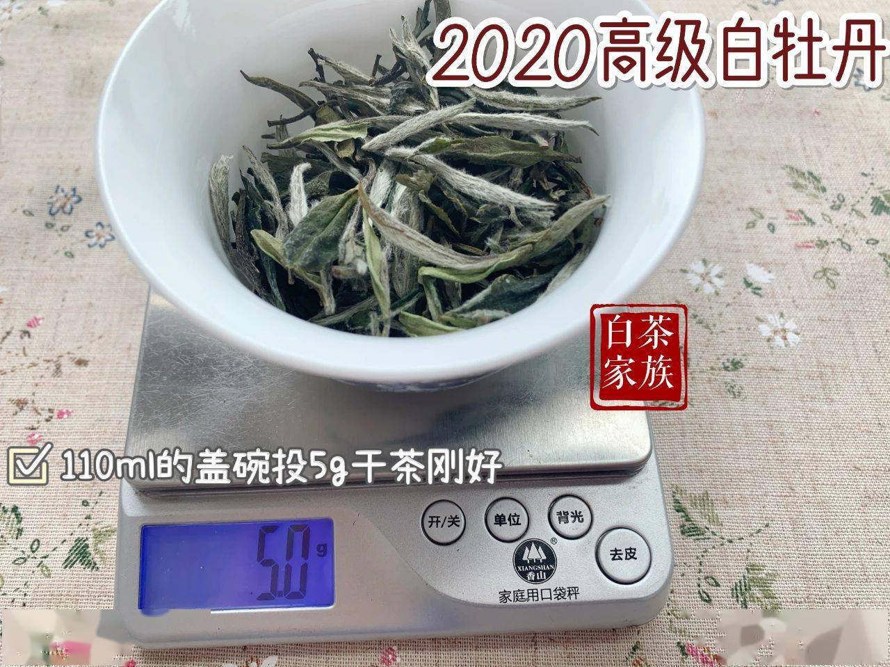 白茶可以一直泡水么嘛