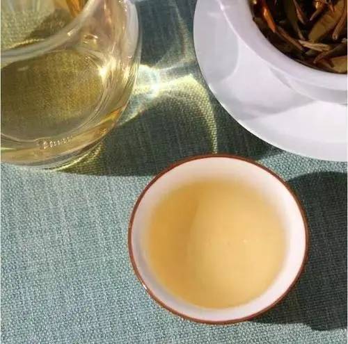 白茶可以用茶饼泡吗怎么泡才好喝？