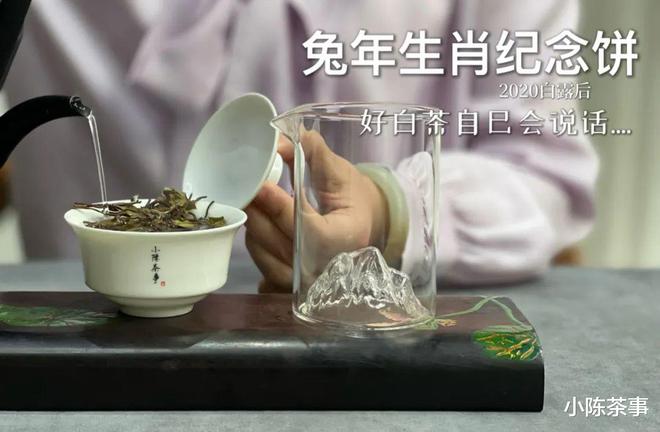 白茶饼可以泡着喝吗，有毒吗，怎么泡？