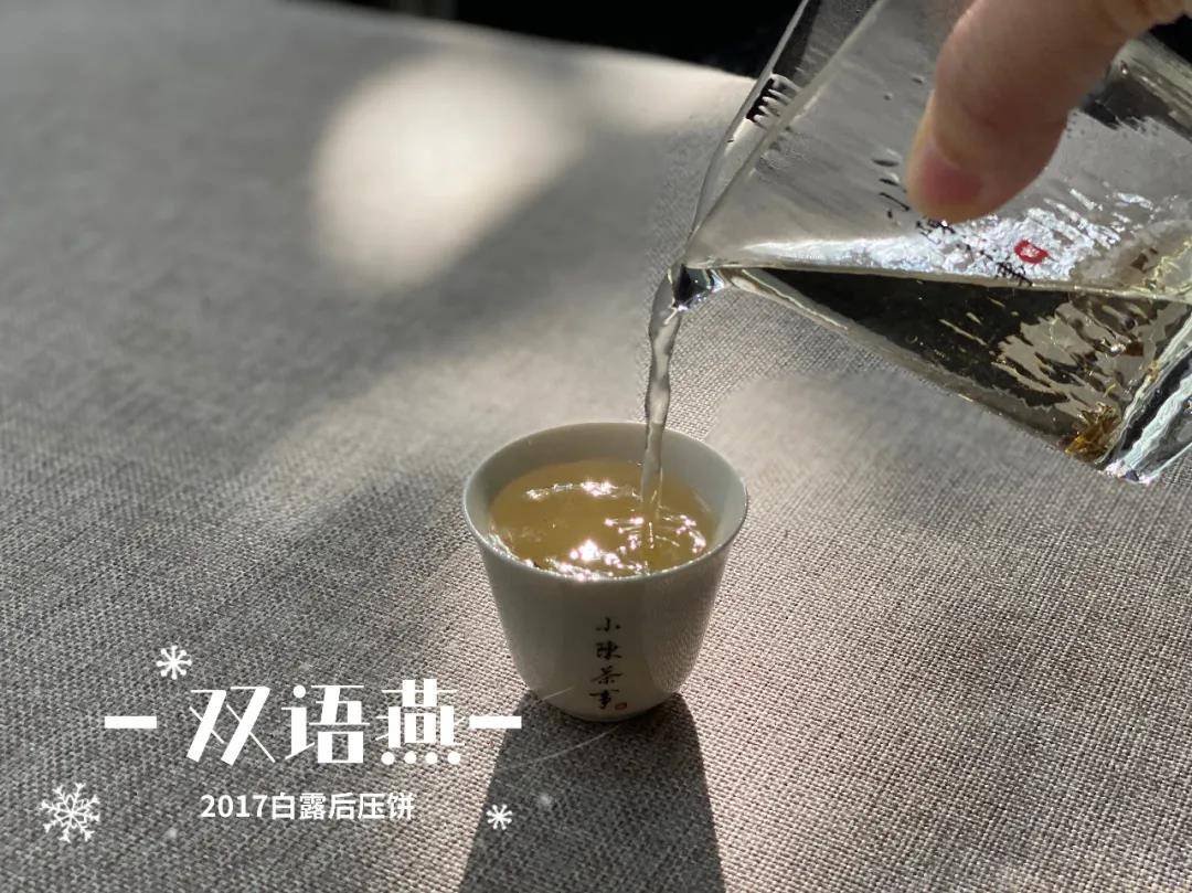 丽莎白绿茶和白茶味道区别及真假辨别