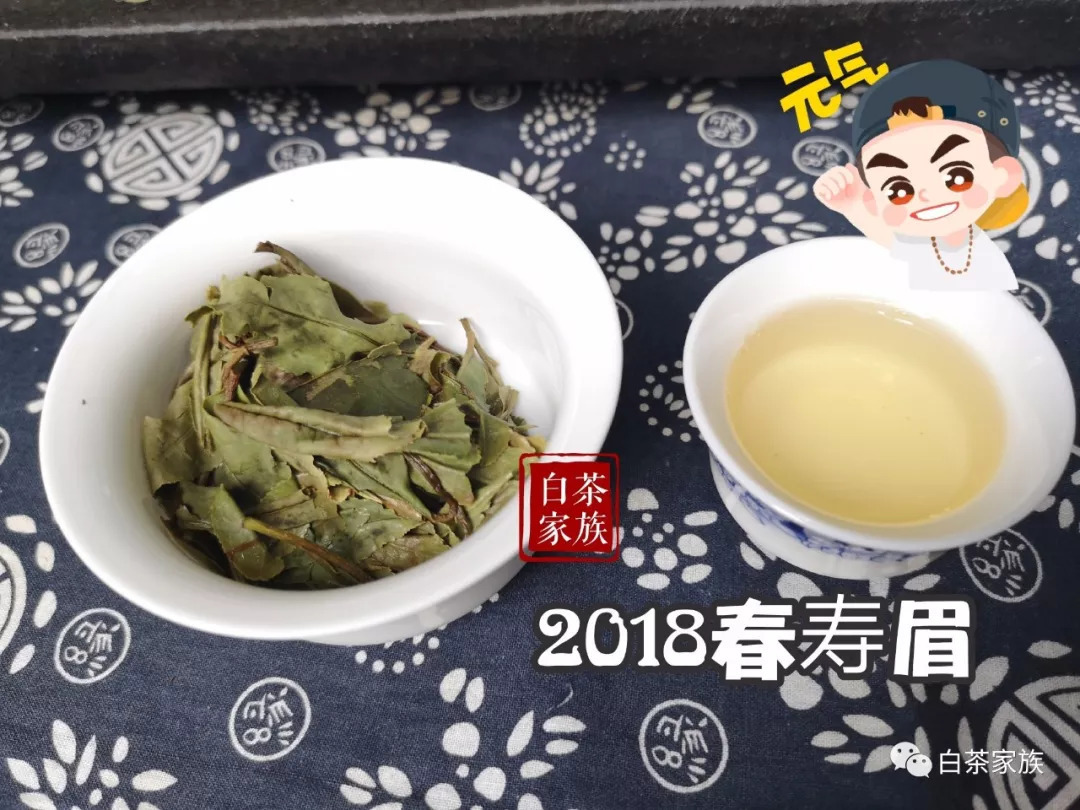 丽莎白绿茶和白茶味道区别及真假辨别