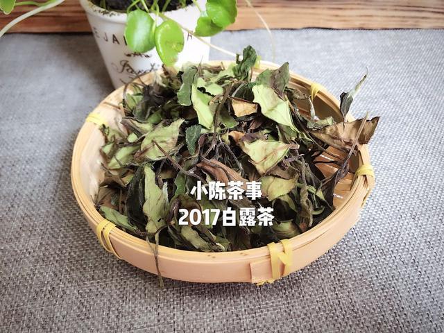 春白茶的藏方法与技巧