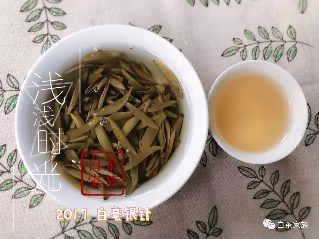 白茶用多少度泡最合适？