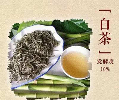 蜜香味和太阳味白茶区别是什么，蜜香白茶的功效及蜜香型茶叶的味道