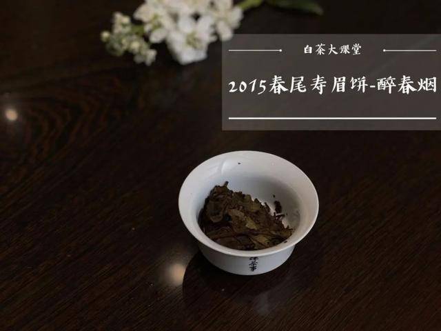 山白茶什么时候上市