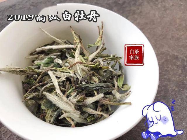 白茶大白毫是什么品级的茶