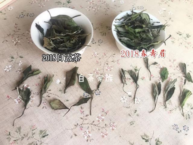 白茶加大白毫什么意思