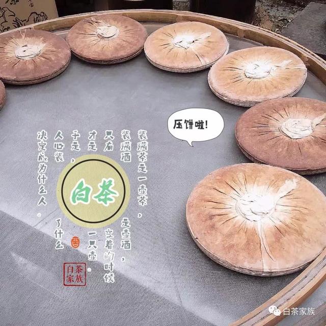 白茶饼怎么做