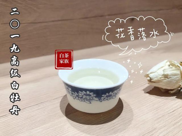 白茶饼怎么做