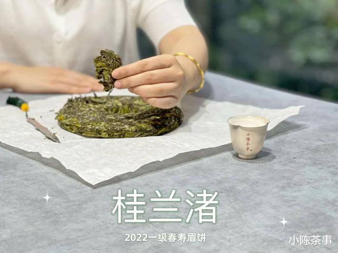 白茶饼可以用来做什么