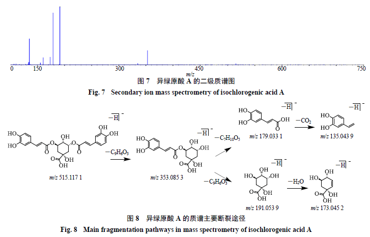 白茶萎凋过程及其与品质形成的物理与化学变化