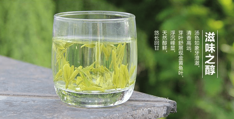 波它山堰绿茶：品质独特，世界闻名