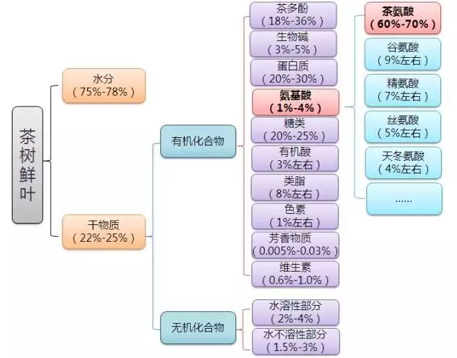 安吉白茶年产量多少？（标题包含全部意思且长度不超过70字节）