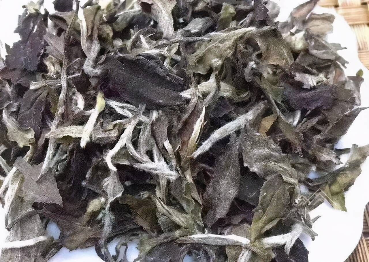 白茶散茶和饼茶哪个转化快？