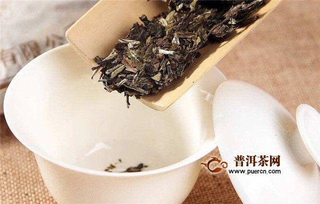 散白茶和茶饼哪种好