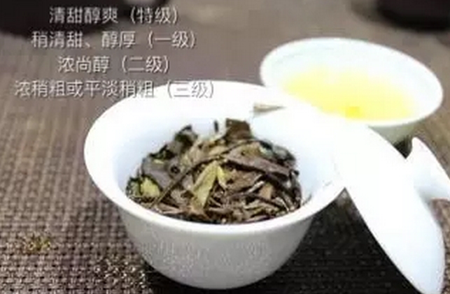 福鼎白茶味道怎么样？