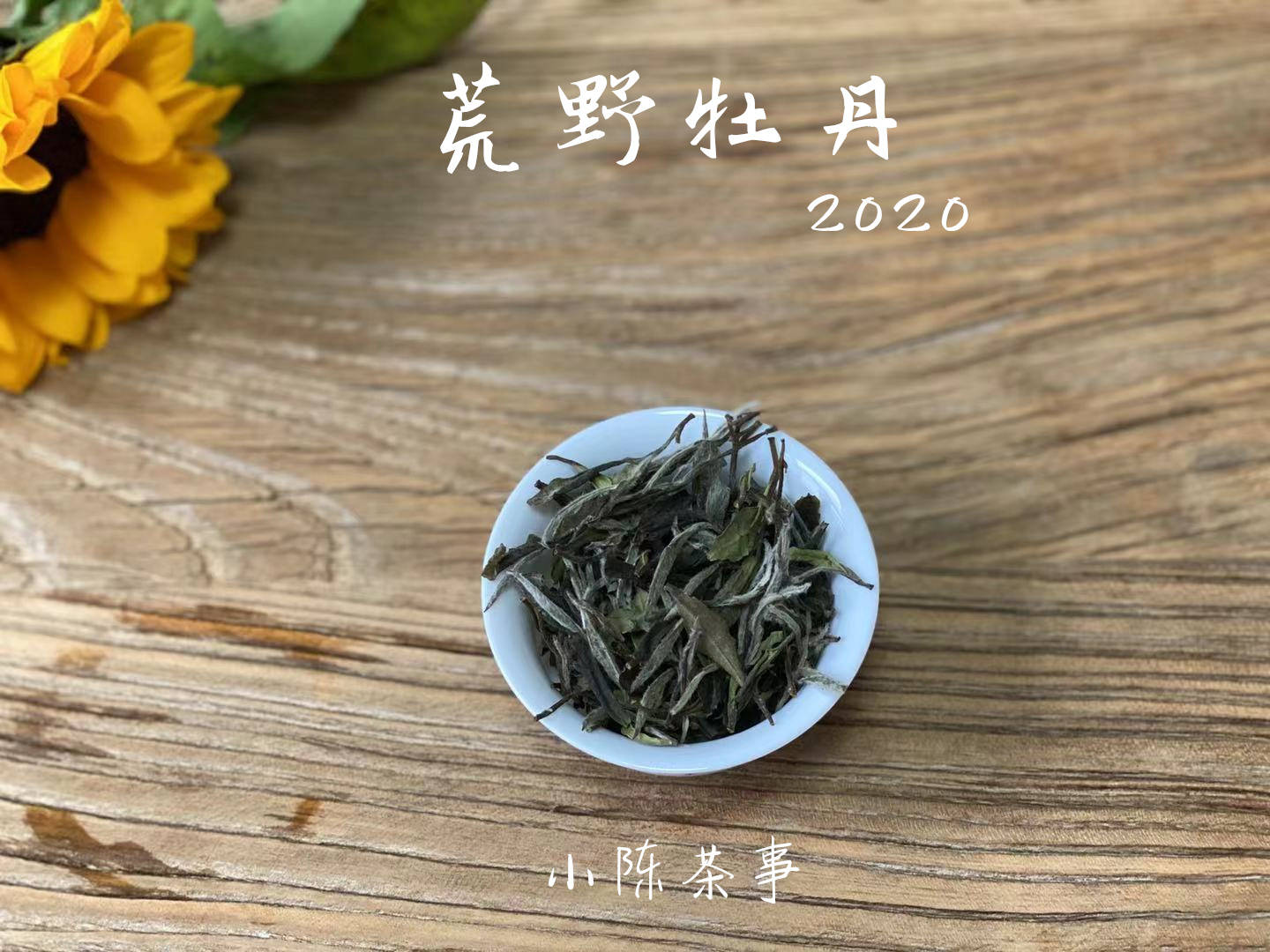 白茶小海在一起了吗