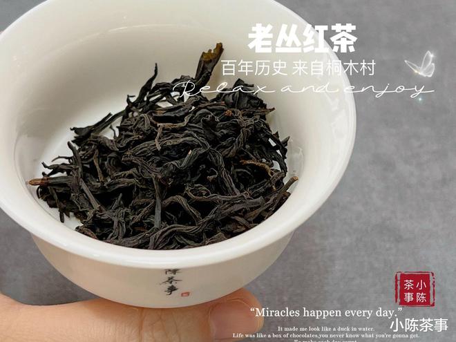 白茶与普洱茶可以搭配煮茶吗？