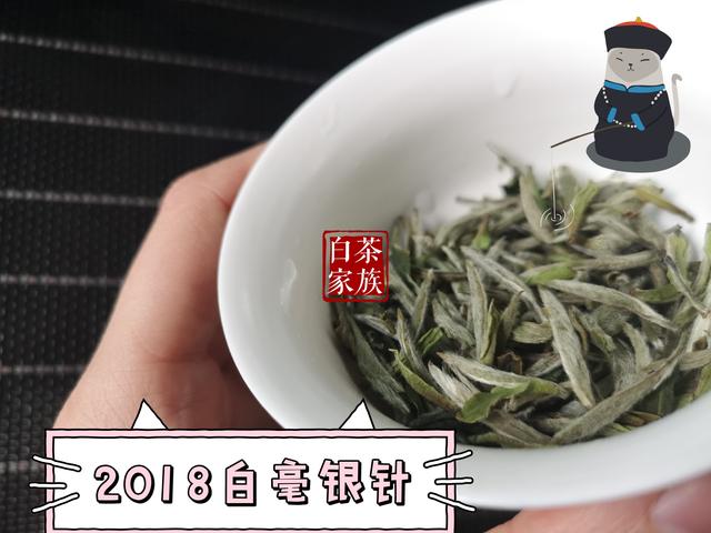 为什么喝安吉白茶嘴巴苦苦的感觉饿？