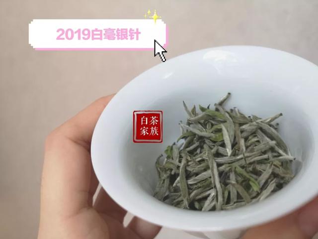 福建老白茶产地哪里的最正宗好喝？