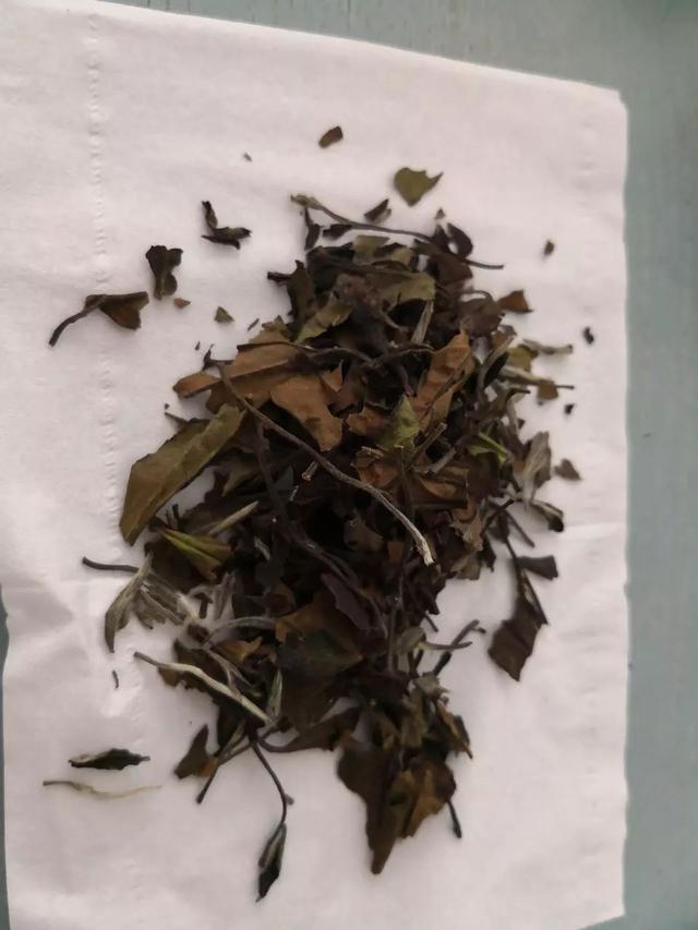 州哪里有白茶茶叶卖