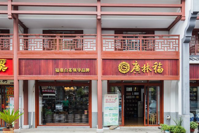 辽福鼎白茶代理加盟店