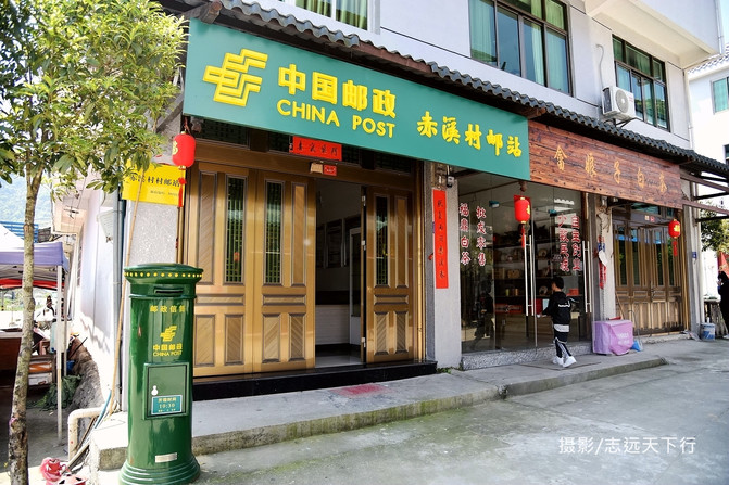 辽福鼎白茶代理加盟店