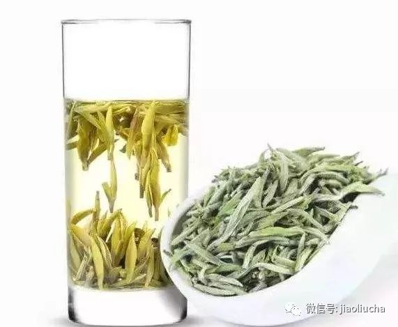 好的白茶青叶颜色特点是什么