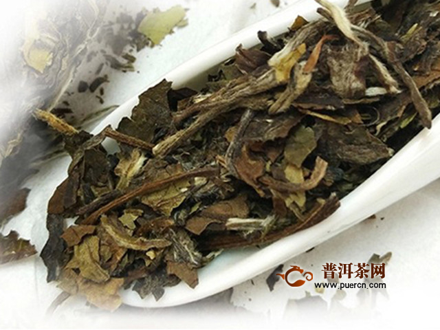 福建白茶属于什么茶的系列