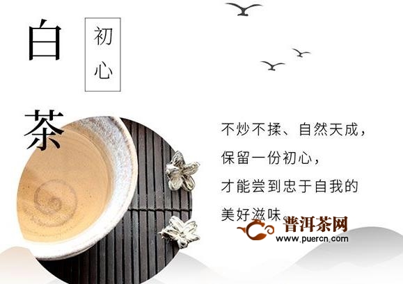 福建白茶属于什么茶的系列