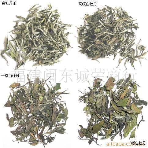 裕珍香福鼎白茶：价格与白牡丹评价