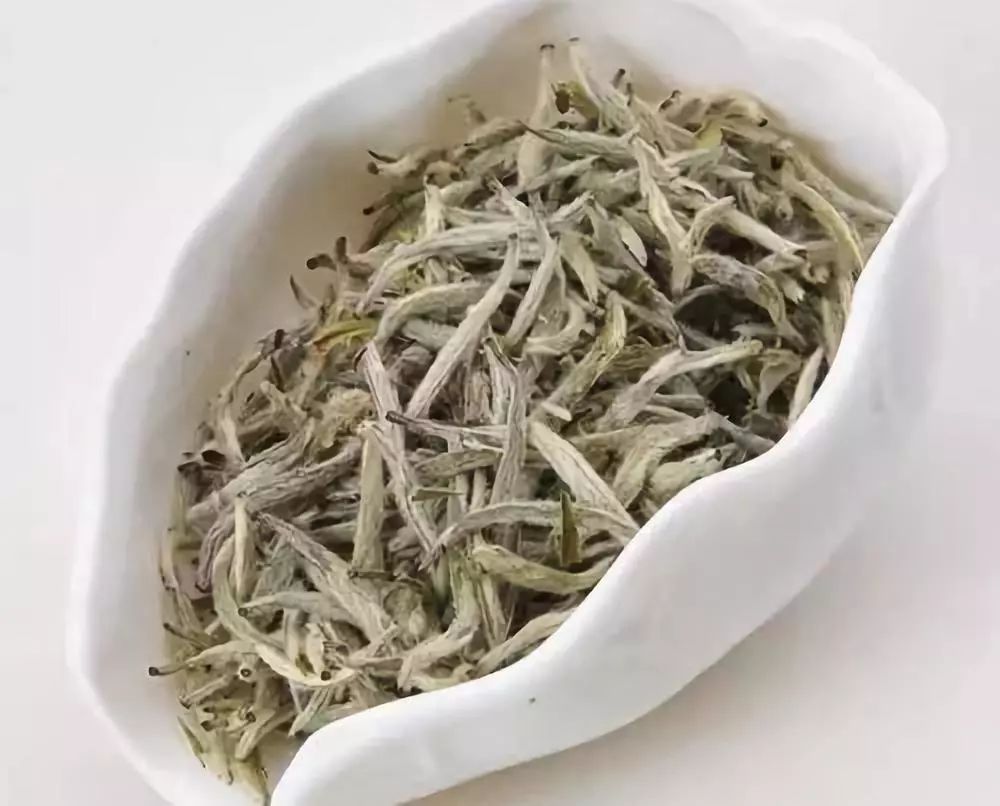 福鼎白茶有多少家茶企